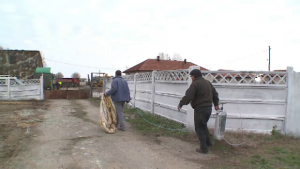 vama