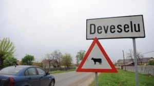 deveselu